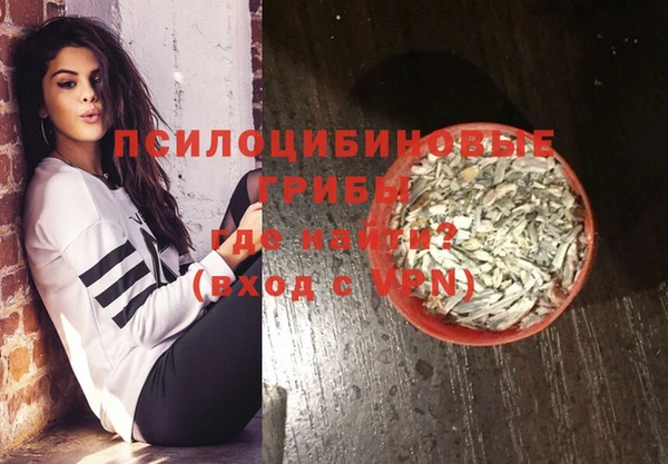 стаф Абинск