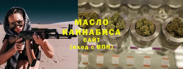 тгк Абаза