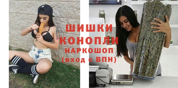 стаф Абинск
