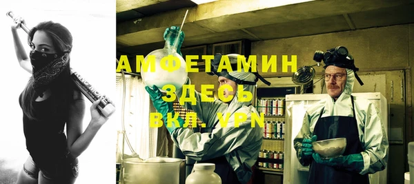 стаф Абинск