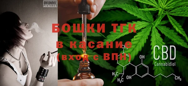 стаф Абинск
