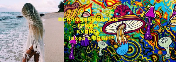 тгк Абаза