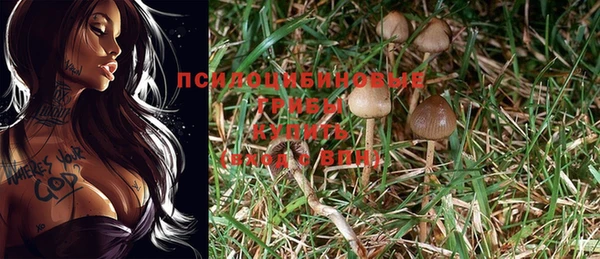 spice Абдулино