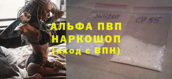 стаф Абинск