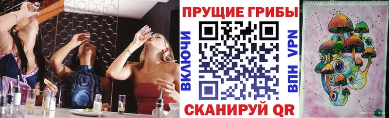 Галлюциногенные грибы GOLDEN TEACHER  купить наркотик  Сарапул 